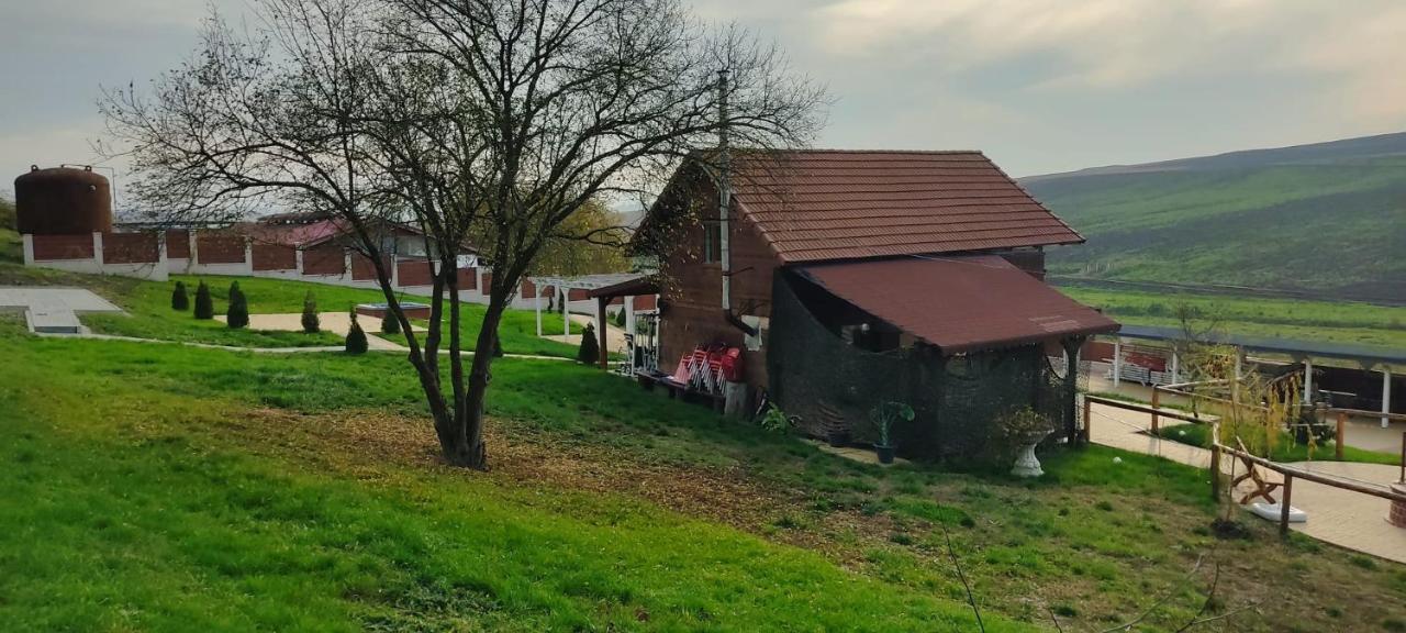 ホテル La Hacienda Chetani エクステリア 写真